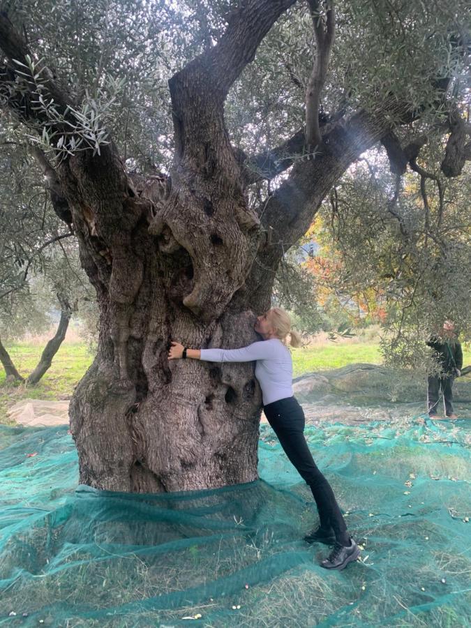 Villa Aurora Montegiordano Dış mekan fotoğraf